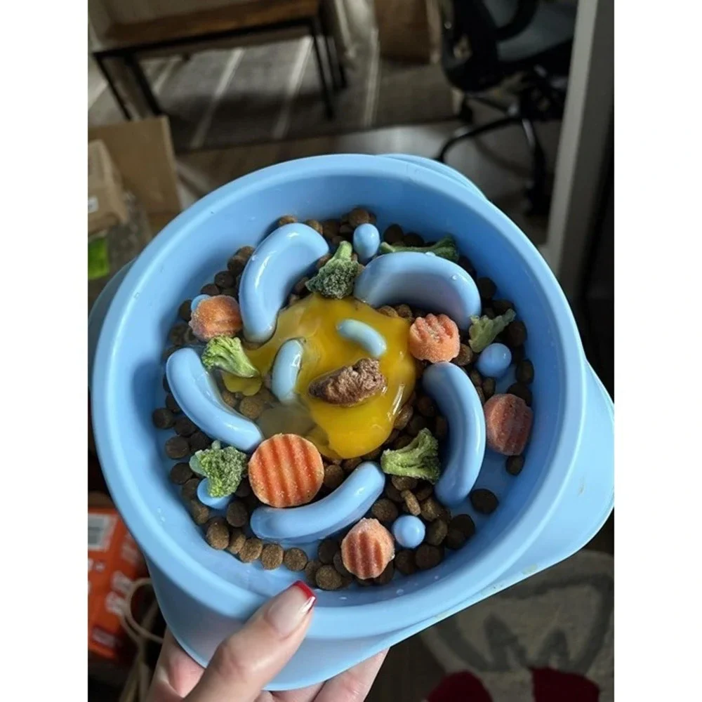 Slow Feeder Dog Bowls 2PCS Anti-Choking Puzzle Dog Food Bowls